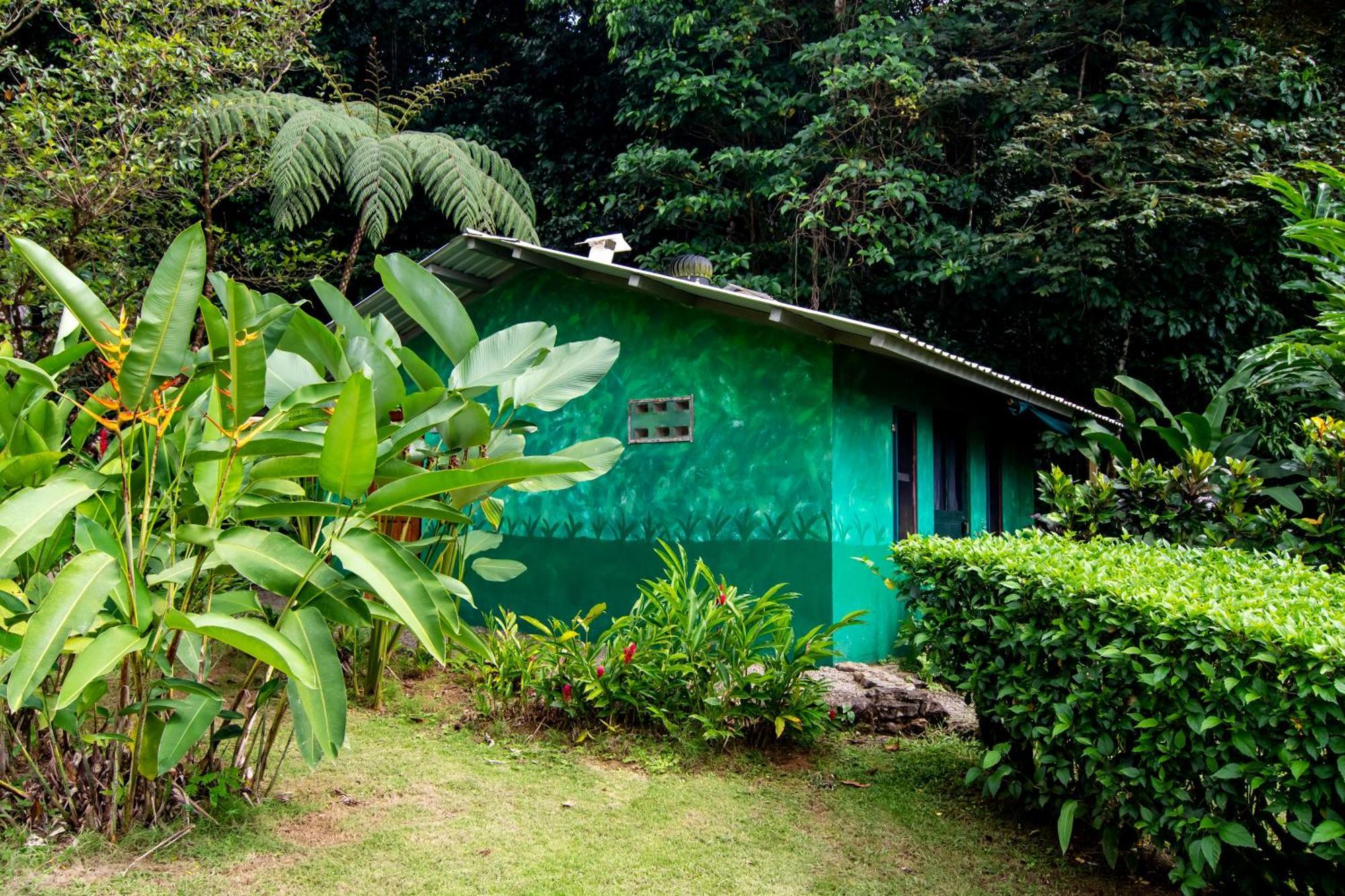 Saladero Ecolodge Esquinas Exterior foto